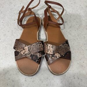 Nordstrom Rack Brown Snake Print Sandals Adjust Buckle Ankle Strap Women’s 13M